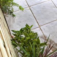 Dalle Castellane Monoformat - Batiweb