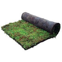 Le tapis végétal pré-cultivé i.D. MAT  - Batiweb