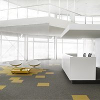 Salt & Rock, dalle de moquette - Batiweb