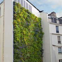 Mur végétal - Vertiss Plus le jardin vertical - Batiweb