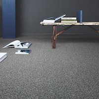 Dalle moquette Timeless Blend - Batiweb