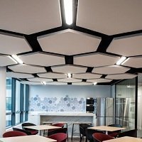 Knauf AMF TOPIQ® Sonic Element, les îlots acoustiques, décoratifs et ludiques  - Batiweb