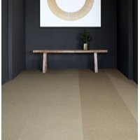 Dalle moquette Polichrome Solid - Batiweb