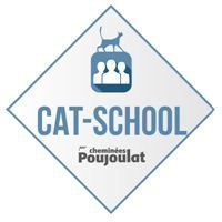 Formation sur la réglementation et la pose de cheminées - Batiweb