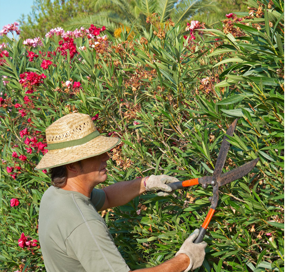Formation BTW Duguesclin avec dde externe - Batiweb