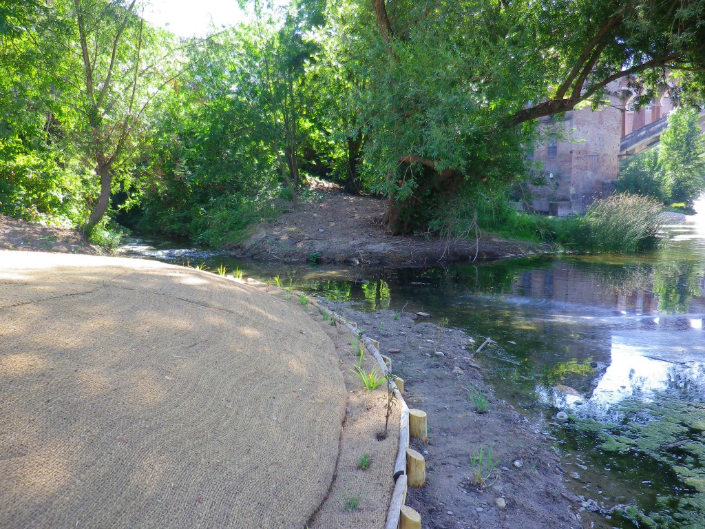 Produit BTW 2 Madness avec pdt site marque sans # - Batiweb