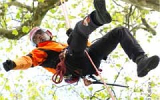 Petzl : partenaire de la Société Française d’Arboriculture et des Rencontres d’arboriculture - Batiweb