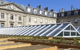 Le Potager et la Vigne de l’Hôtel de Ville  - Batiweb