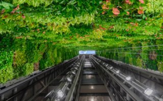 Vertiss : Le plus grand jardin vertical au Moyen Orient en 2017 - Batiweb