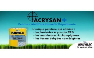 ACRYSAN PLUS : La peinture veloutée multifonctionnelle - Batiweb