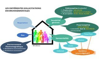 L’humain dans le bâtiment, un dossier à consulter sur Construction21 - Batiweb