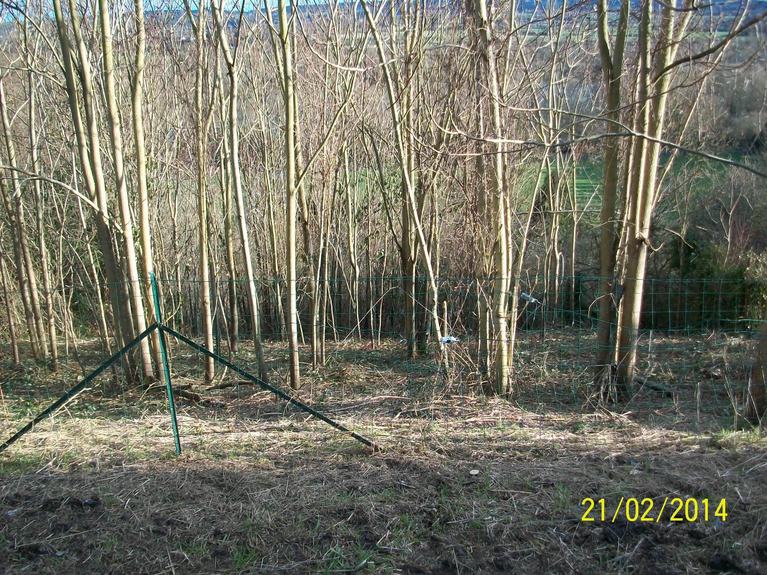 Publis BTW Madness de type classique - Batiweb